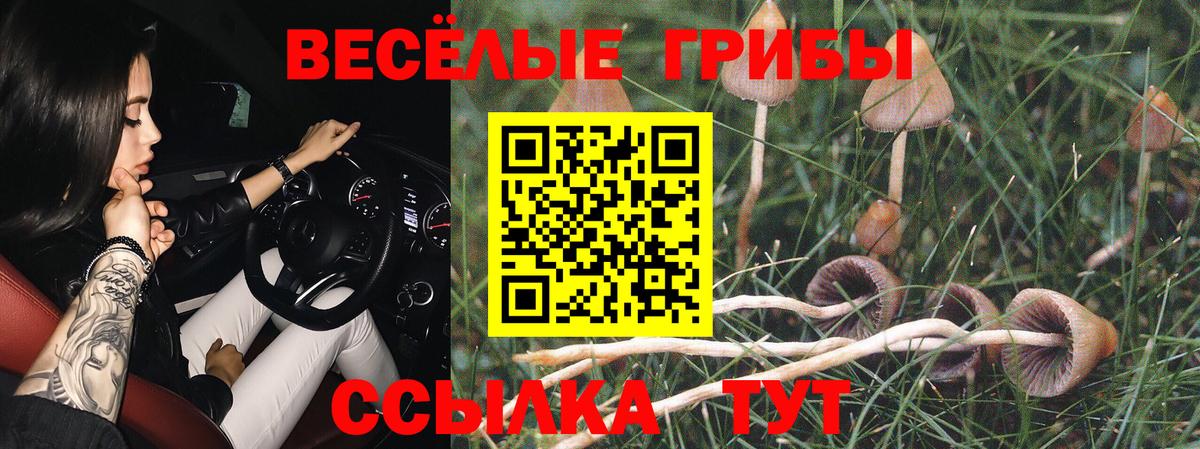 Усинск  Псилоцибиновые грибы прущие грибы  Вход с VPN 